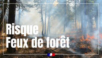 Risque Feux de Foret large